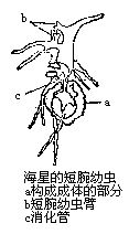 丁香实验推荐阅读