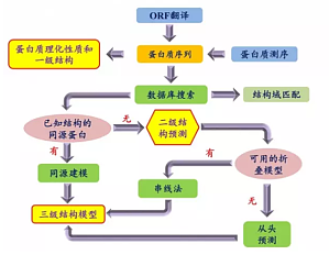 丁香实验推荐阅读