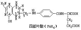 丁香实验推荐阅读