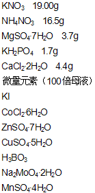 丁香实验推荐阅读