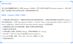 丁香实验推荐阅读