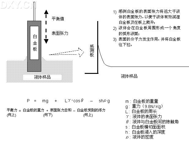 丁香实验推荐阅读