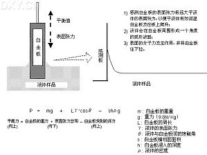 丁香实验推荐阅读