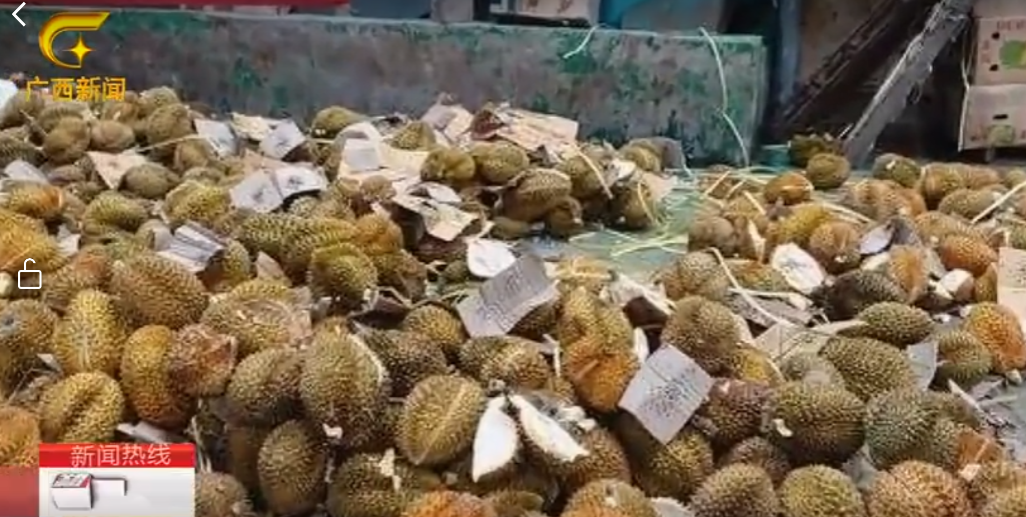 丁香实验推荐阅读