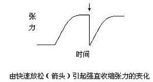 丁香实验推荐阅读