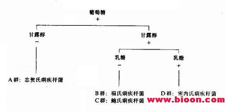 丁香实验推荐阅读