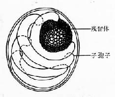 丁香实验推荐阅读