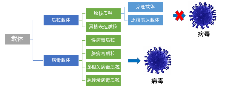 丁香实验推荐阅读