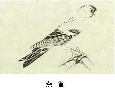 丁香实验推荐阅读