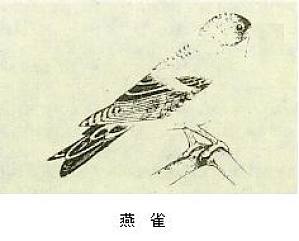 丁香实验推荐阅读