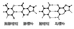 丁香实验推荐阅读