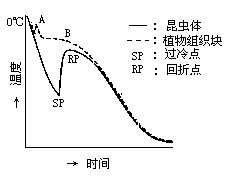 丁香实验推荐阅读