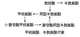 丁香实验推荐阅读