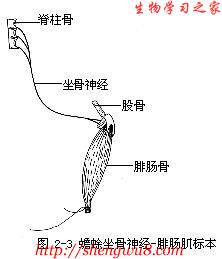 丁香实验推荐阅读