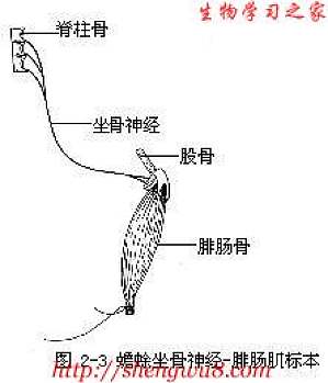 丁香实验推荐阅读