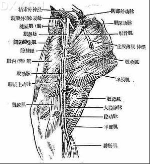 丁香实验推荐阅读