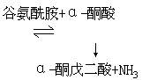 丁香实验推荐阅读