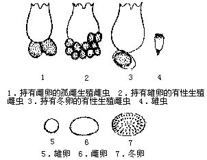 丁香实验推荐阅读