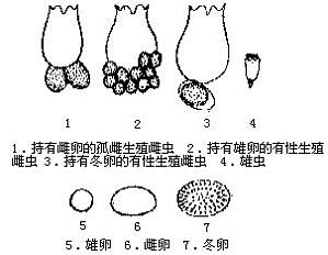 丁香实验推荐阅读