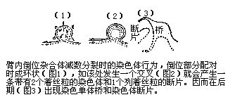 丁香实验推荐阅读