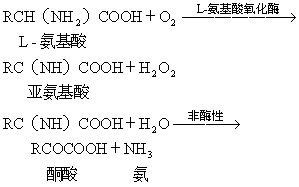 丁香实验推荐阅读