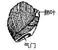 丁香实验推荐阅读