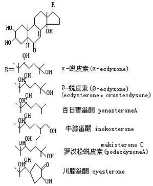 丁香实验推荐阅读