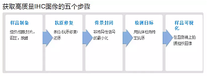 丁香实验推荐阅读