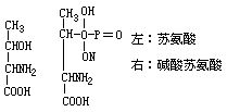 丁香实验推荐阅读