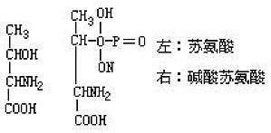 丁香实验推荐阅读