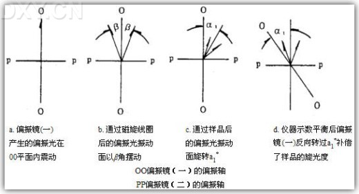 丁香实验推荐阅读