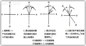 丁香实验推荐阅读