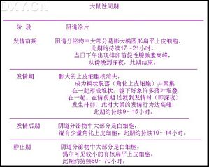 丁香实验推荐阅读