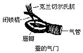 丁香实验推荐阅读
