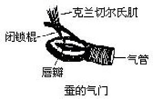 丁香实验推荐阅读