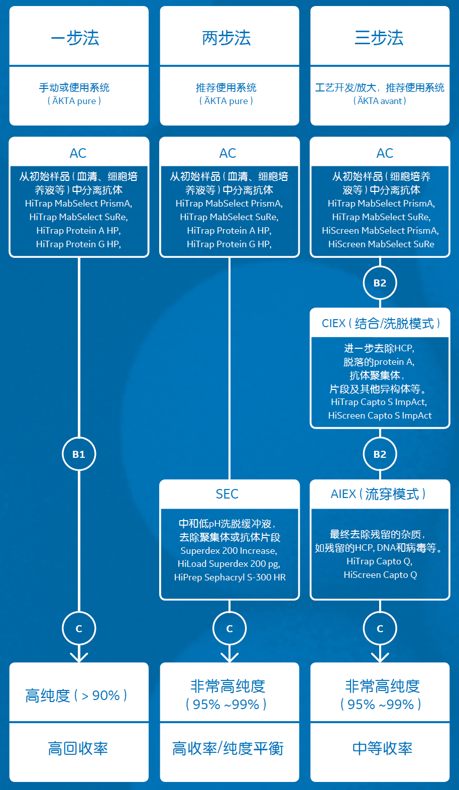 丁香实验推荐阅读