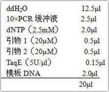 丁香实验推荐阅读