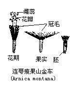 丁香实验推荐阅读
