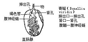 丁香实验推荐阅读