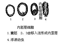 丁香实验推荐阅读