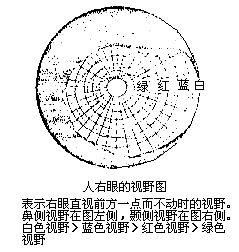 丁香实验推荐阅读