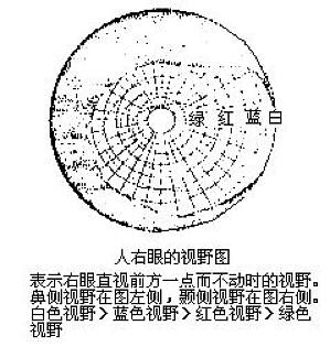 丁香实验推荐阅读