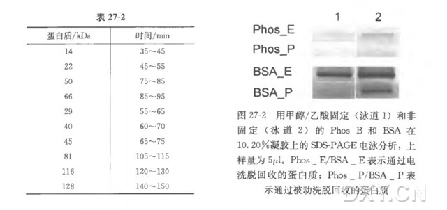 丁香实验推荐阅读