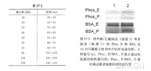 丁香实验推荐阅读