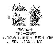 丁香实验推荐阅读