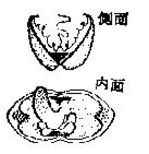 丁香实验推荐阅读