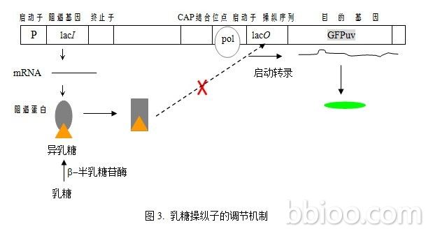 丁香实验推荐阅读