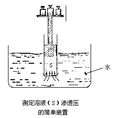 丁香实验推荐阅读