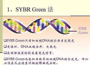 丁香实验推荐阅读