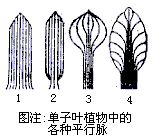 丁香实验推荐阅读